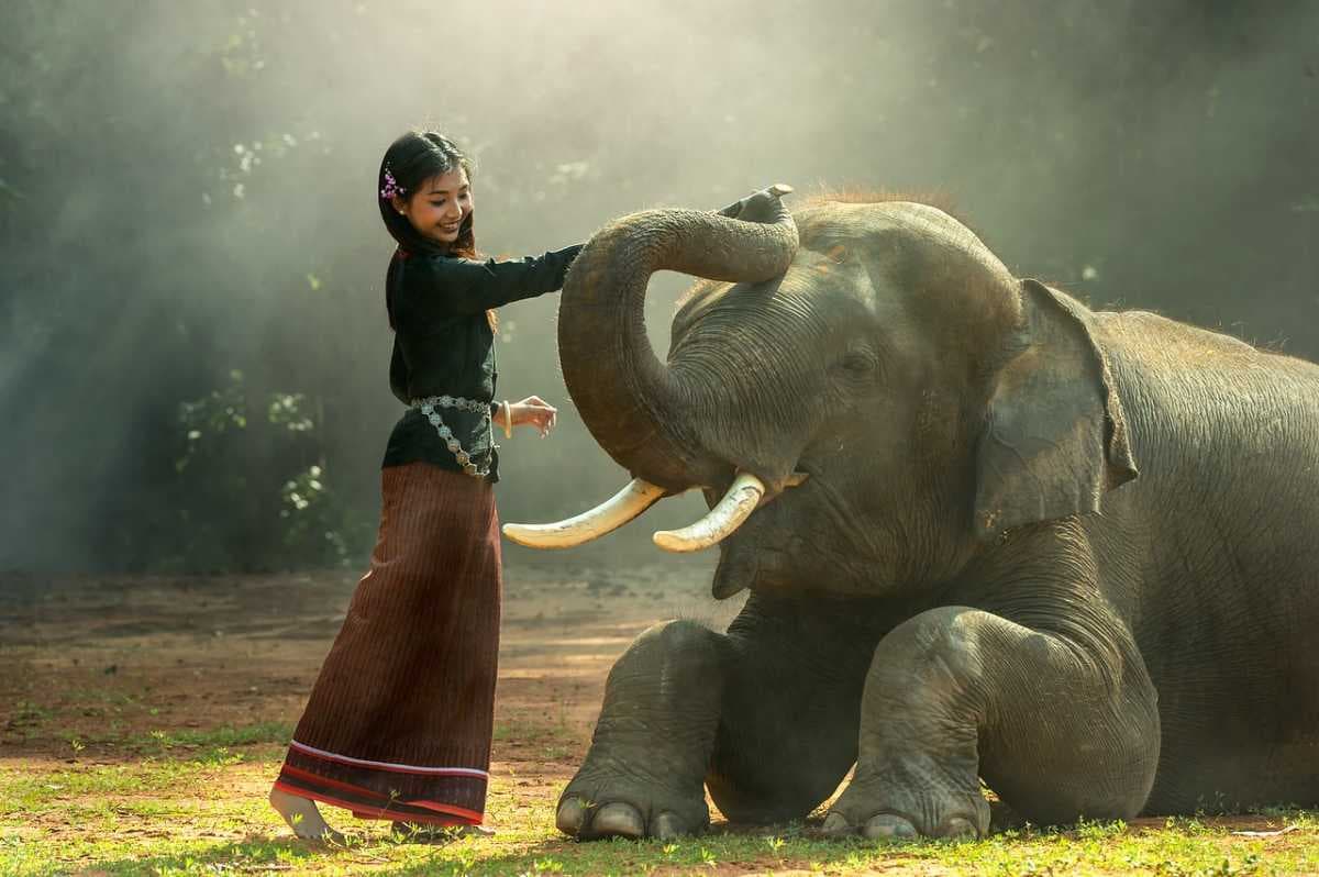 Ayutthaya travel image