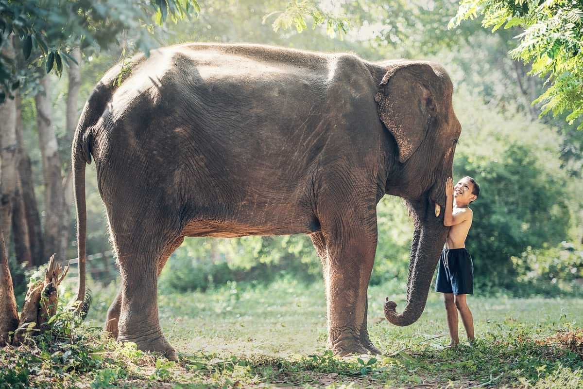 Ayutthaya travel image