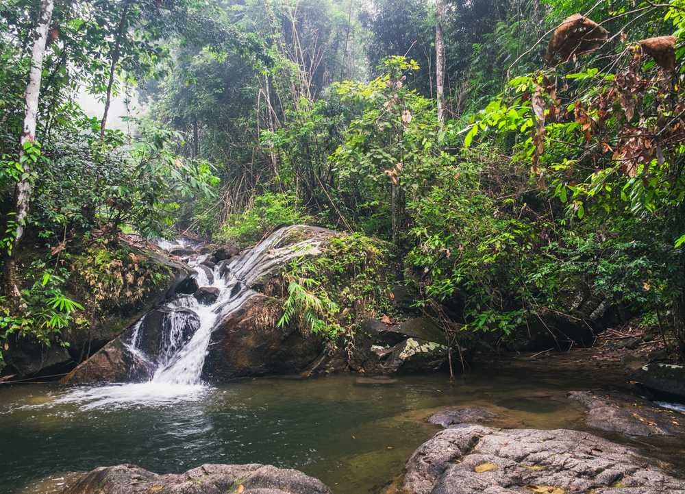 Serene Waterfalls in Khao Lak Lam Ru National Park