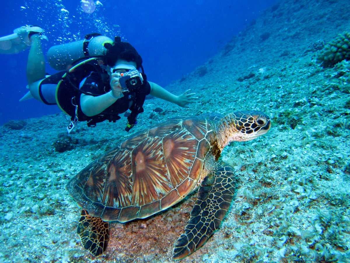 Scuba Diving in Koh Kood