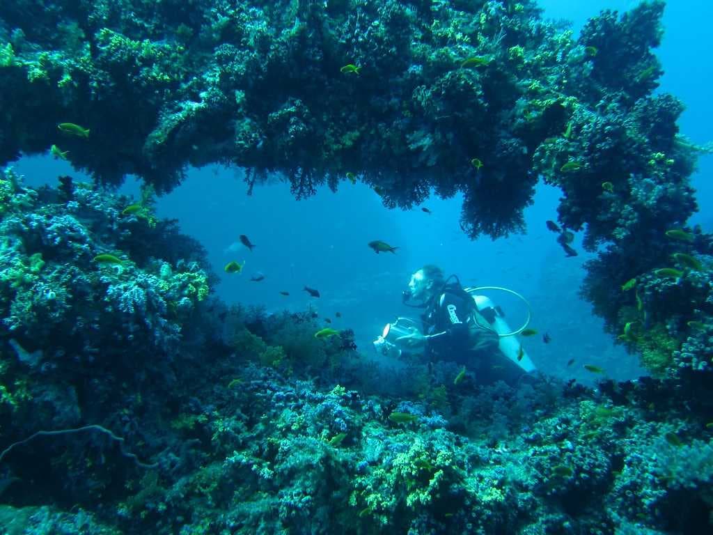 Diving in Soneva Reef