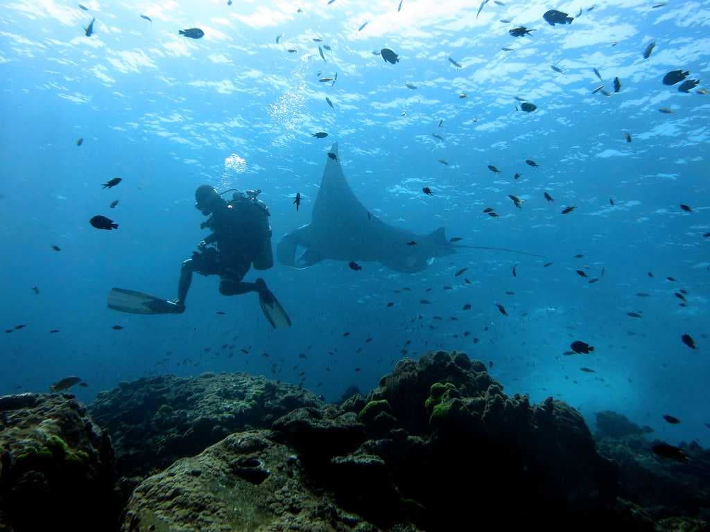 Enthralling Diving in Koh Lanta Islands