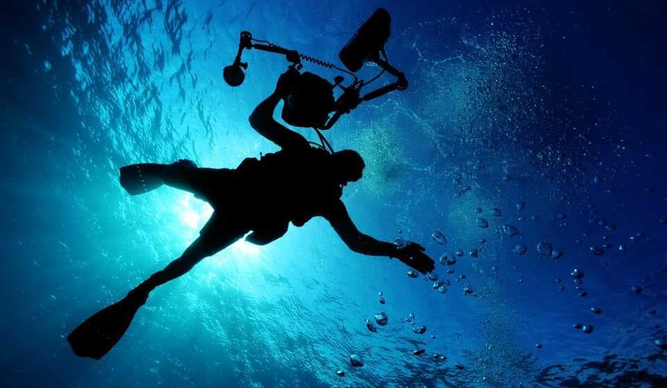 Diving in Koh Tao