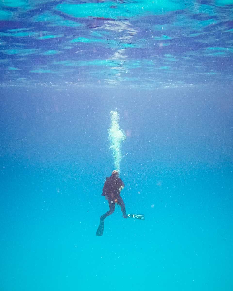 Scuba Diving