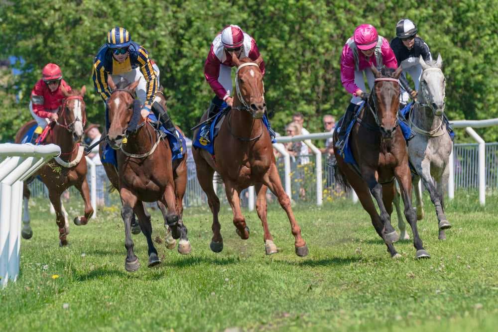 Horse Races Conducted on Bac Ha Plateu