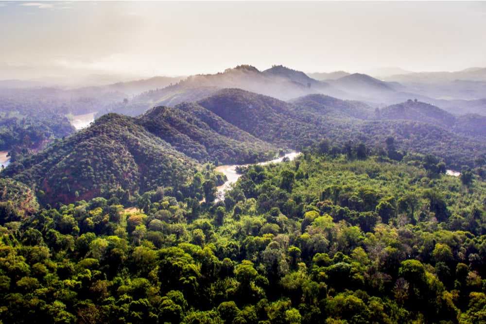Cat Tien National Park - Tropical Forest with Diverse Wildlife