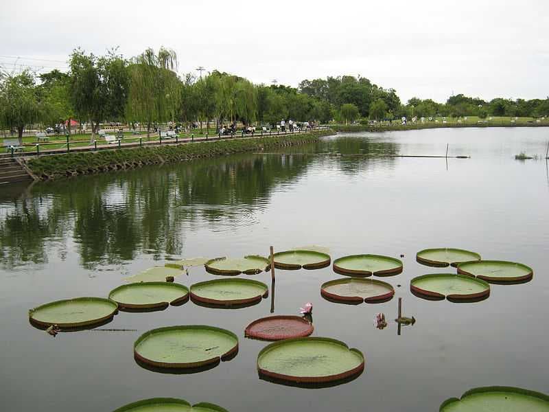 Lake in Cao Lanh Park