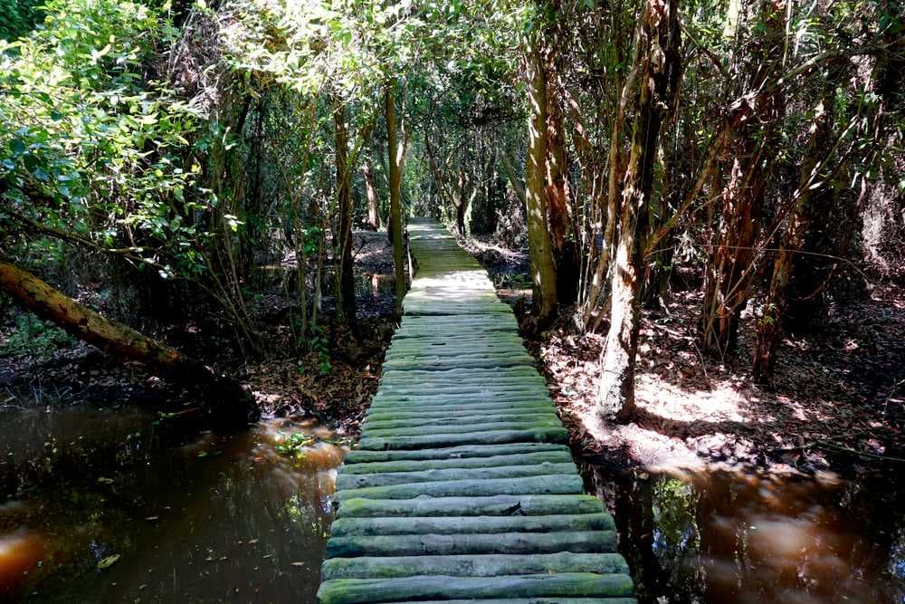 Hiking in Xeo Quyt Forest