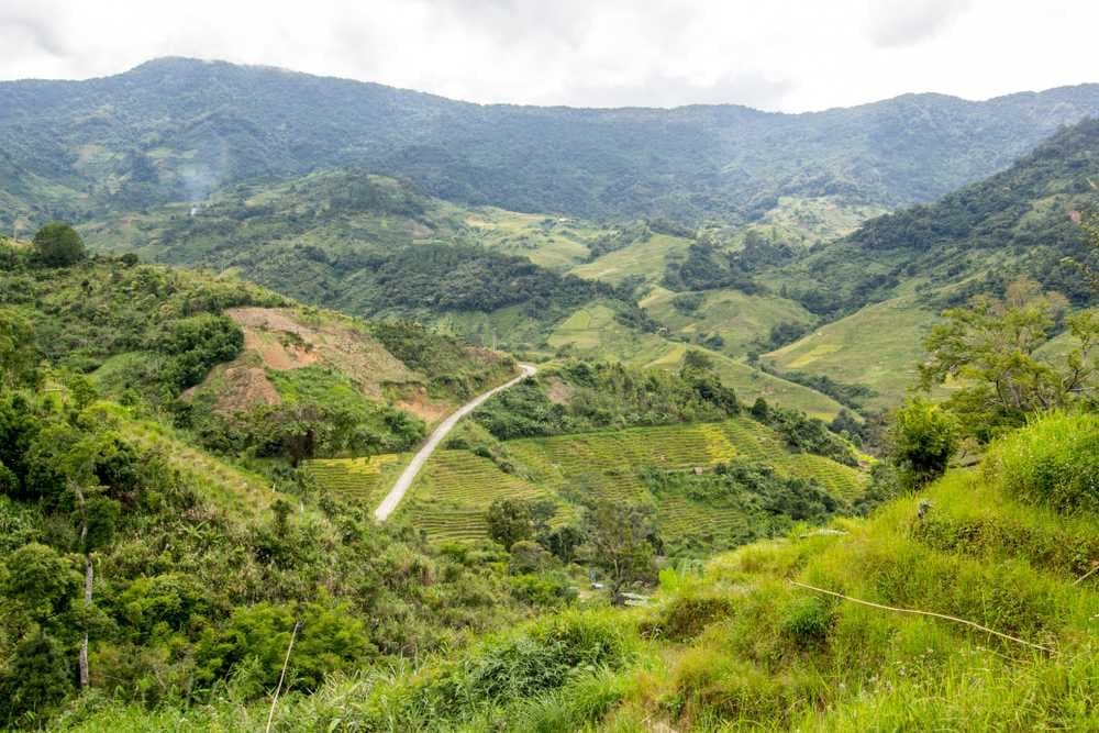 Ngoc Linh mountain - 2,598-metre-high Mountain