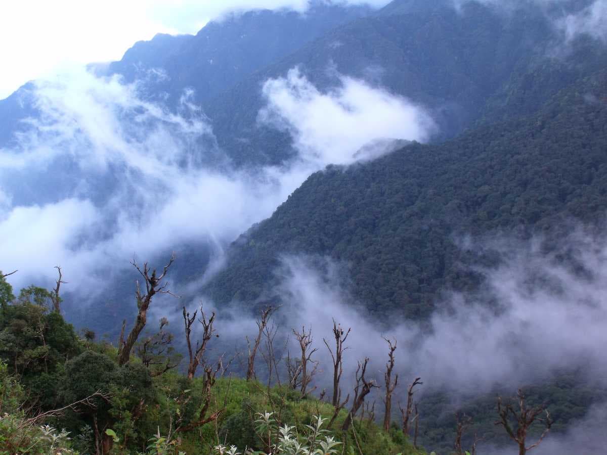 Hoang Lien Nationa park - Home for Various Species