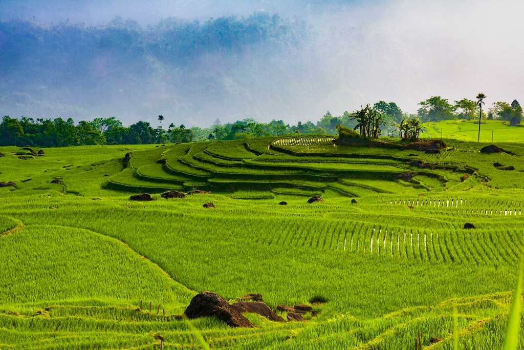 Pu Luong Nature Reserve - Opened in 1999