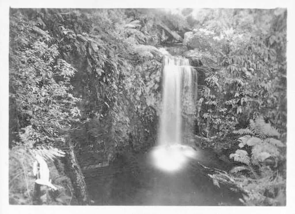 Marriner's Falls, Apollo Bay, 1935