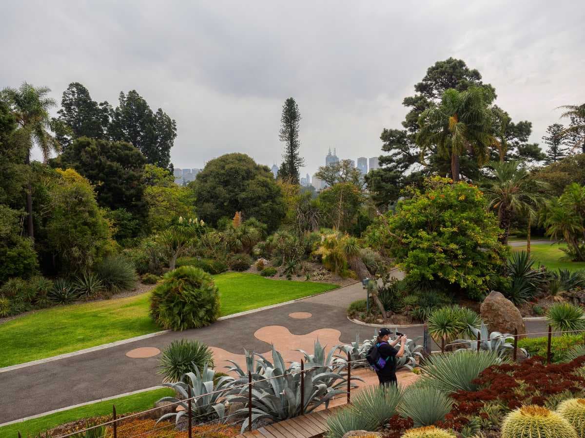 Scenic view at Royal Botanic Gardens
