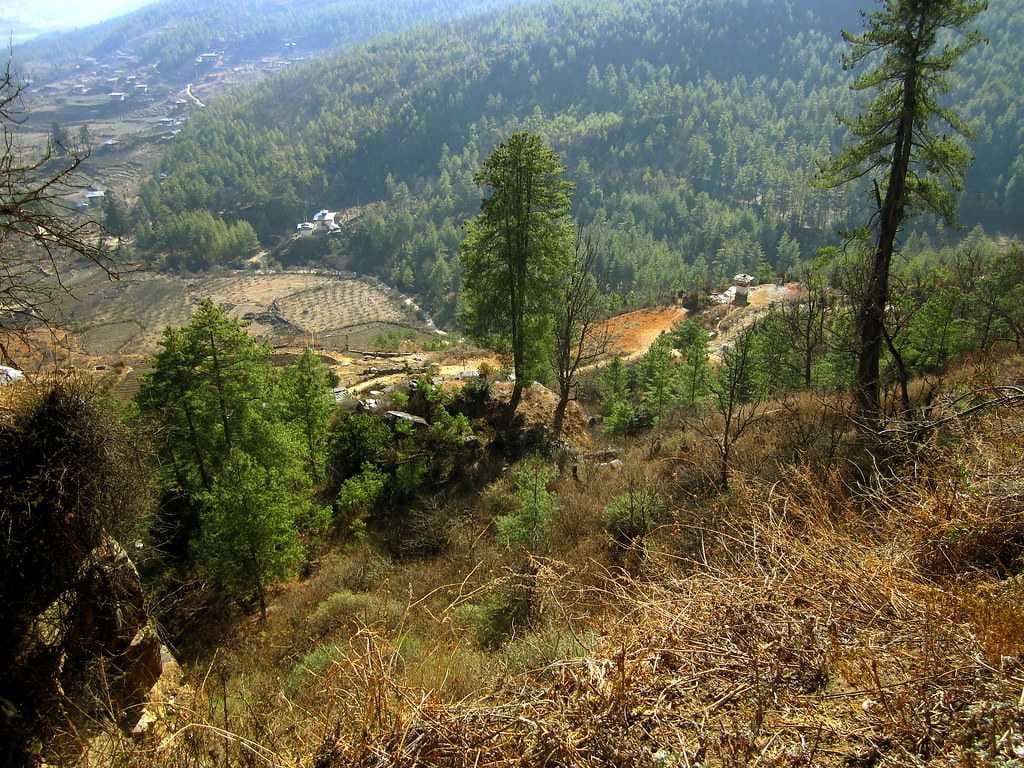 Dzongdrakha Goemba