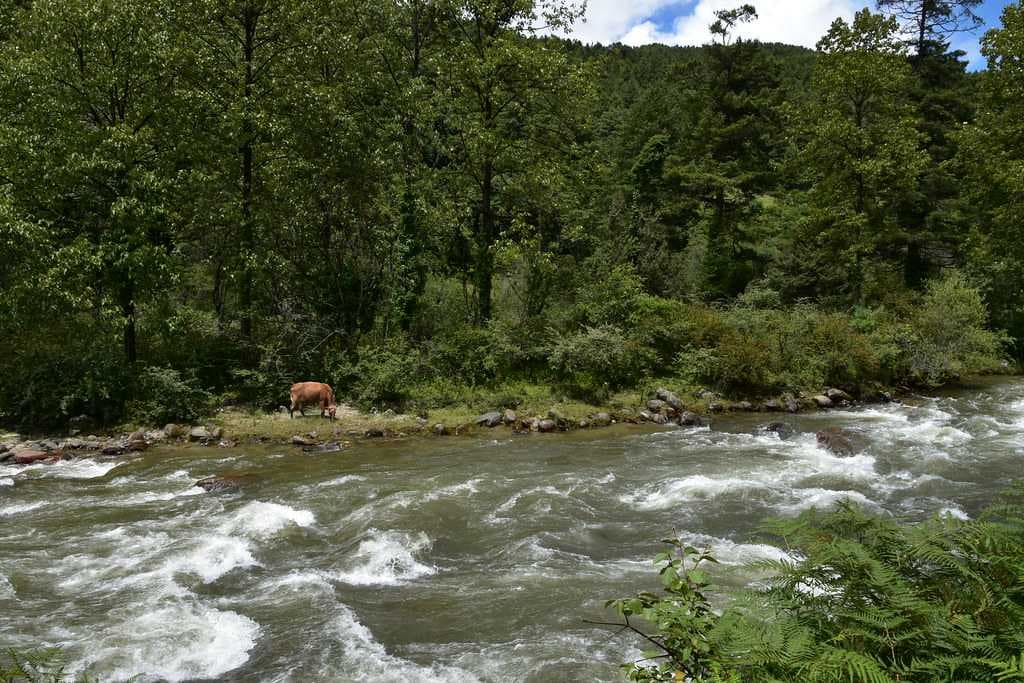 Pela la Pass to Trongsa - Along the Road