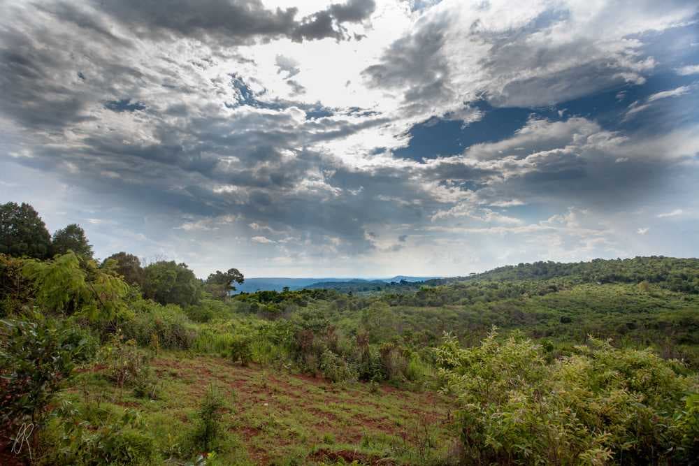 Mondulkiri