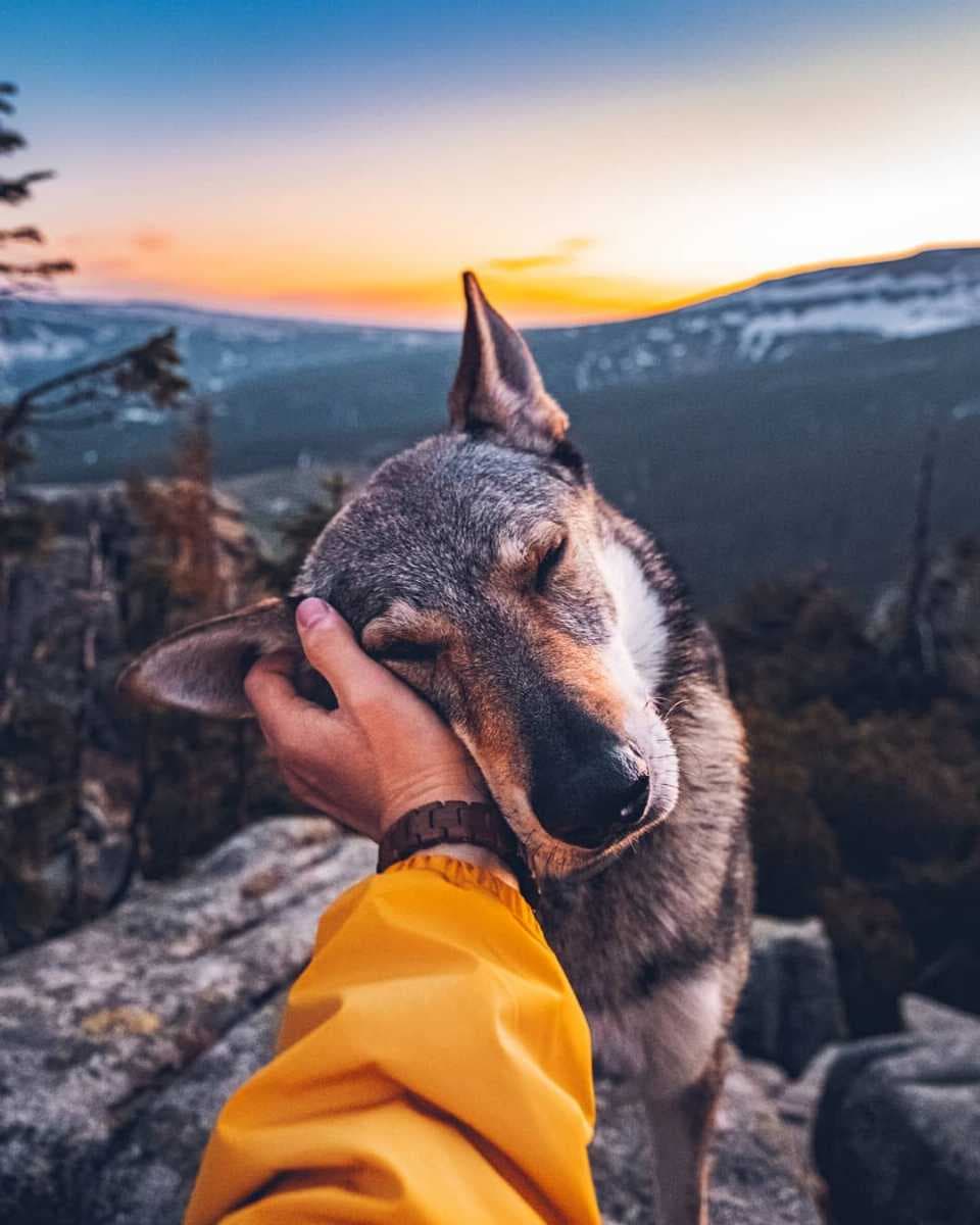 Yet another gorgeous sunset with Sitka the Wolf dog