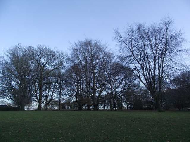 Alexandra Park, Bath