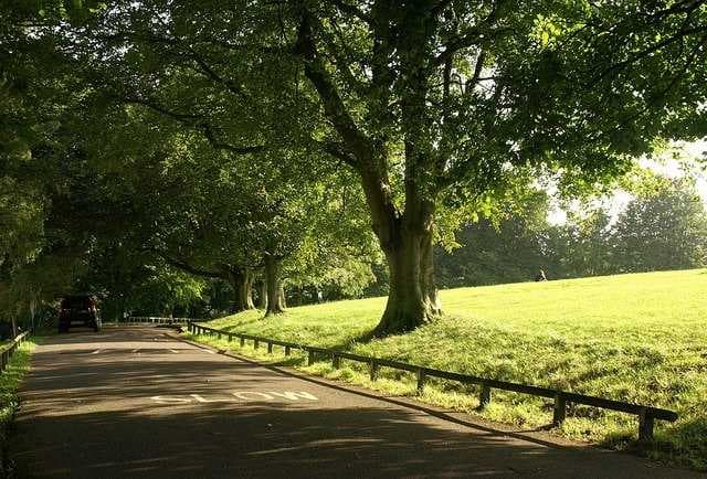 Alexandra Park Bath