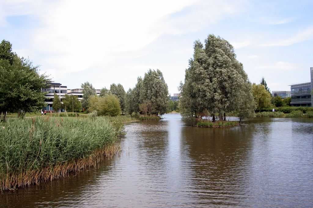 The central lake makes a virtue of the necessity of flood alleviation measures
