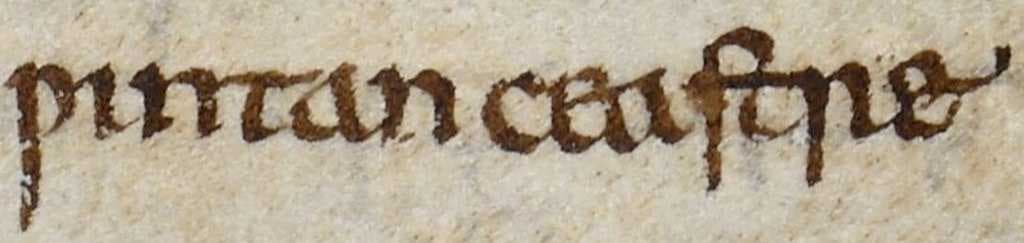 A mention of Wintanceaster in the Anglo-Saxon Chronicle