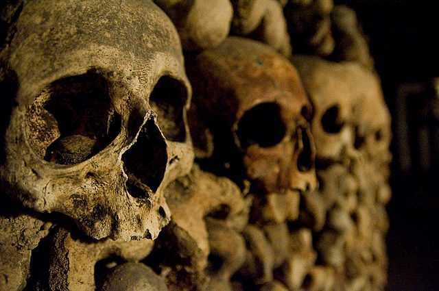 Les Catacomb de Paris travel image