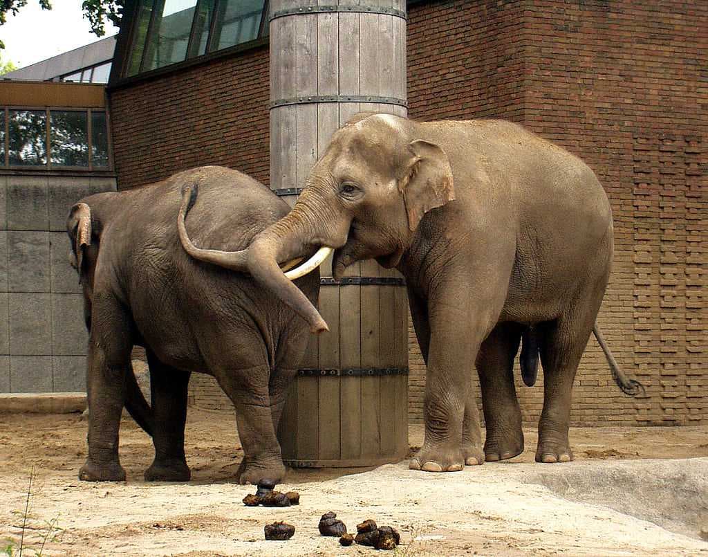 Zoo Berlin travel image