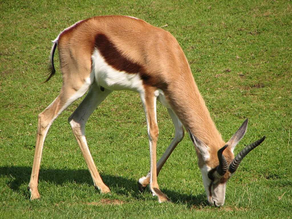 Zoo Berlin travel image