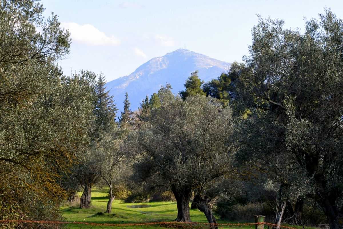 The Penteli mountain as seen from the park.