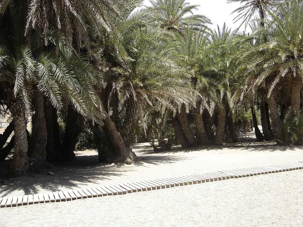 Vai Beach travel image