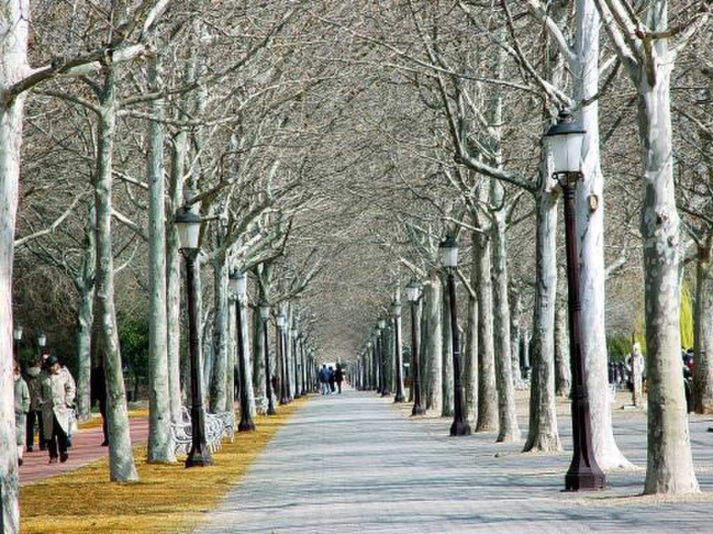Balatonfured travel image