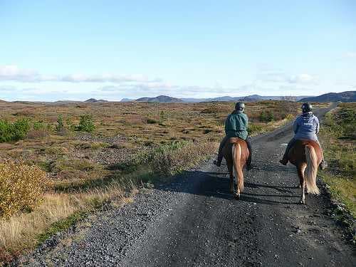 Icelandic Horse Riding travel image