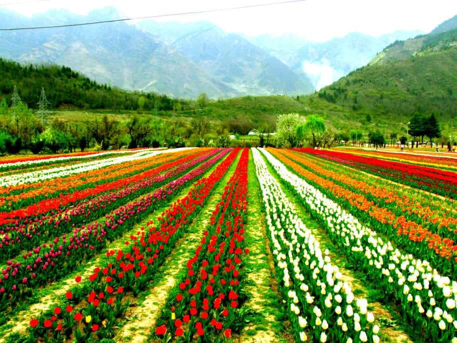 India travel image