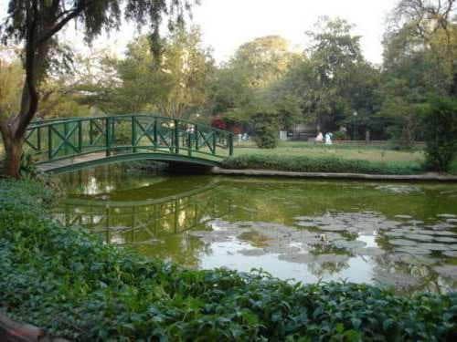 The garden is filled with lush greenery.