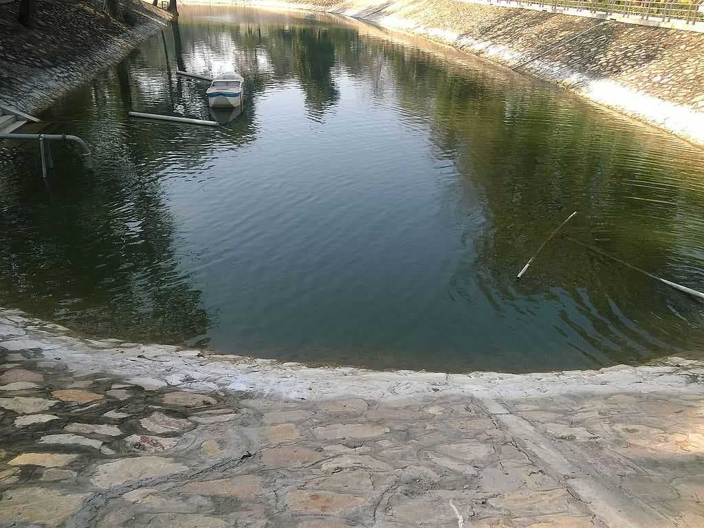 Company Gardens