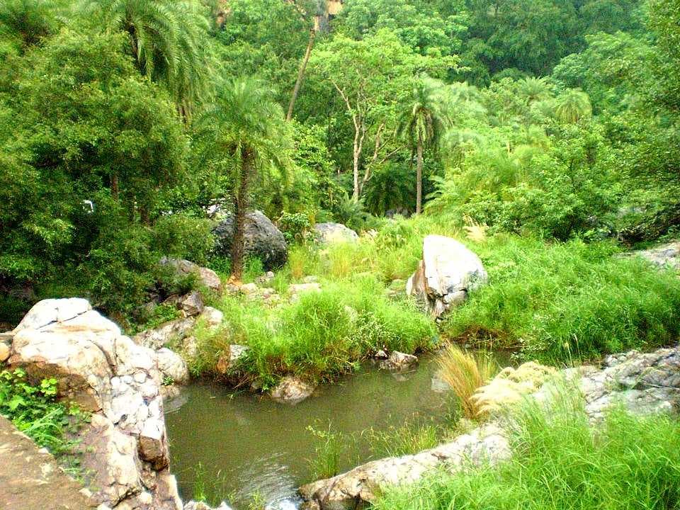 Sariska Tiger Reserve - Established in 1955