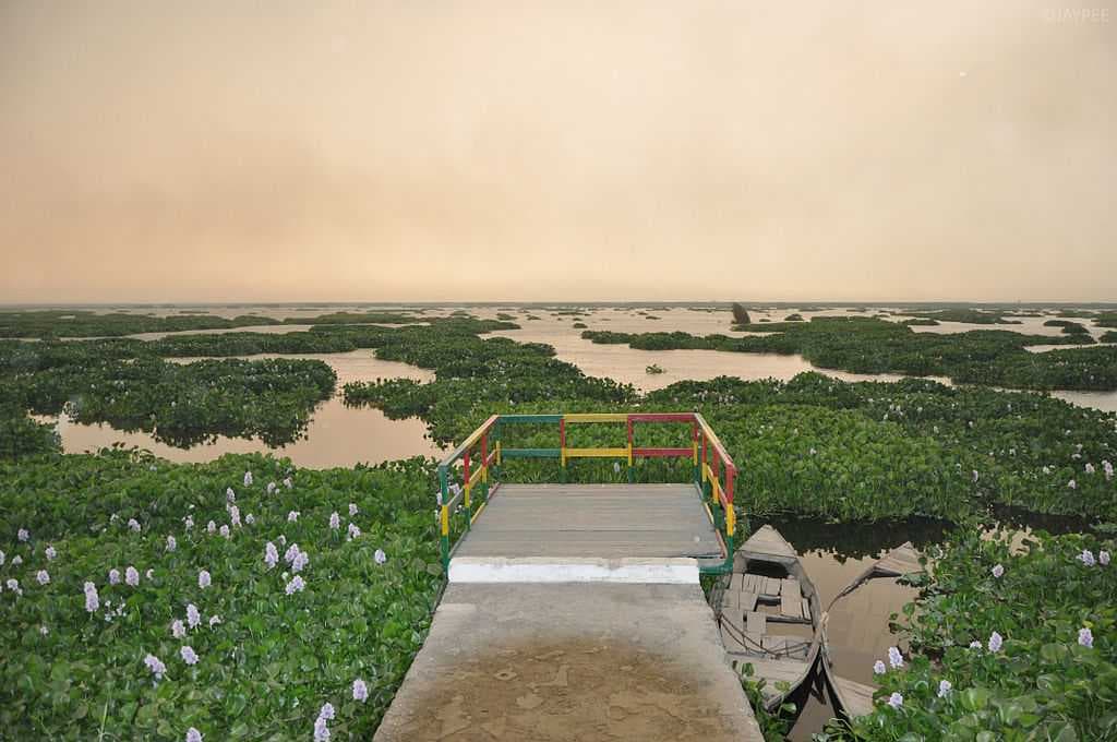 Harike Wetland travel image