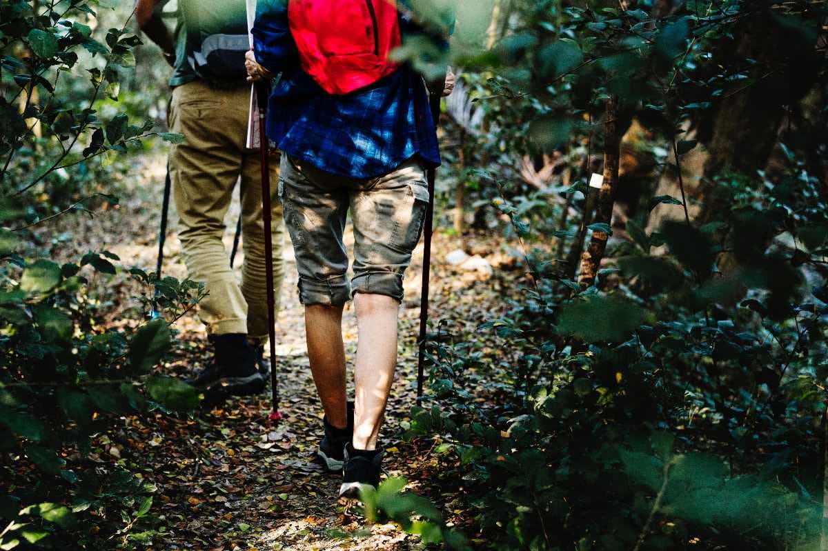 Forest Trekking in Ananthagiri