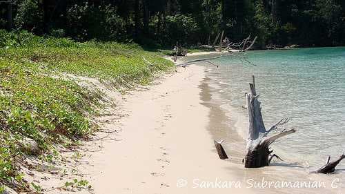 Mahatma Gandhi Marine National Park travel image