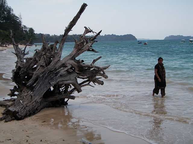Mahatma Gandhi Marine National Park travel image