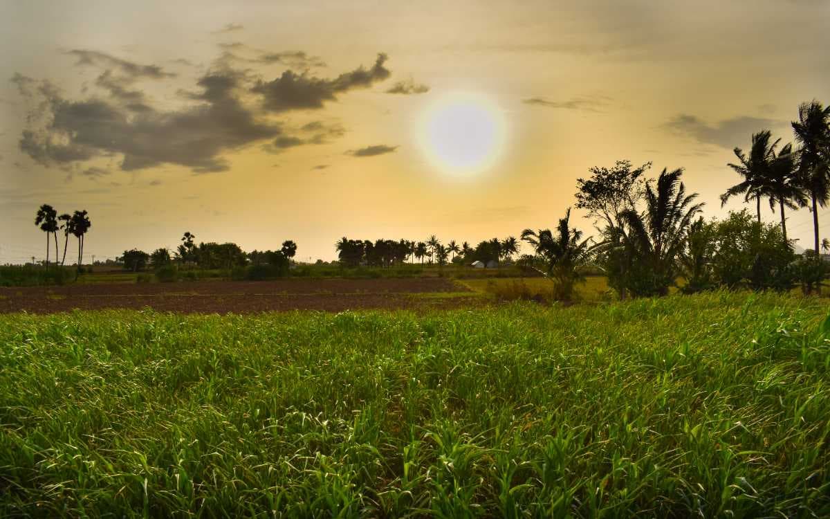 Annavaram Village Side Picturesque View