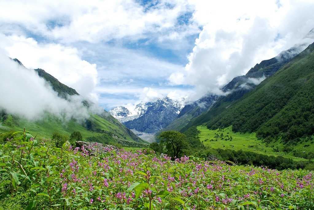 Valley of Flowers - Best Spot for Nature and Trekking