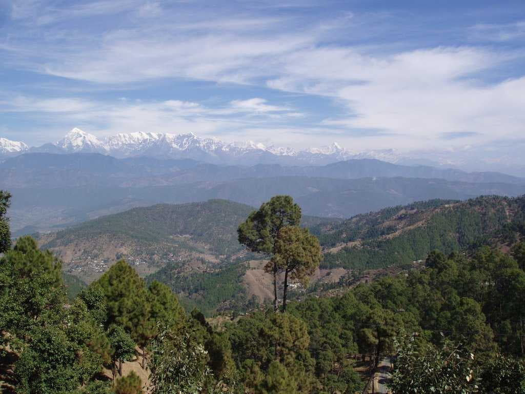Bari Khalsa, Uttarakhand 263642, India