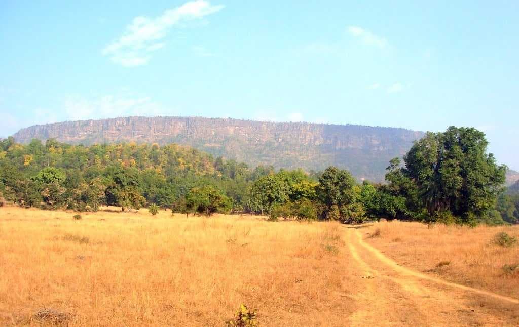 BANDHAVGARH NATIONAL PARK ROAD