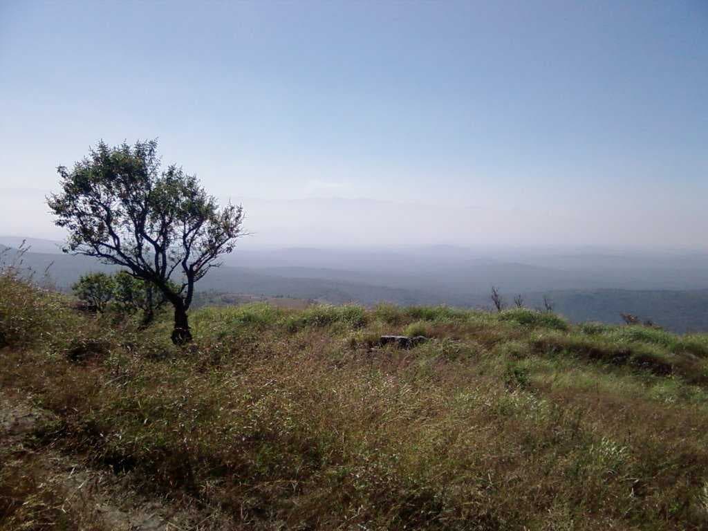 Bandipur National Park