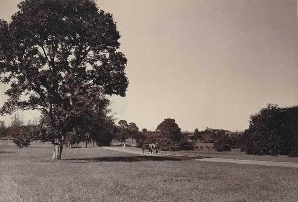 Cubbon Park travel image