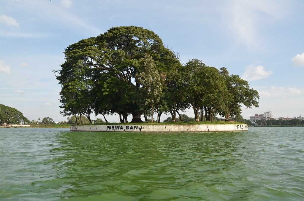 Ulsoor Lake
