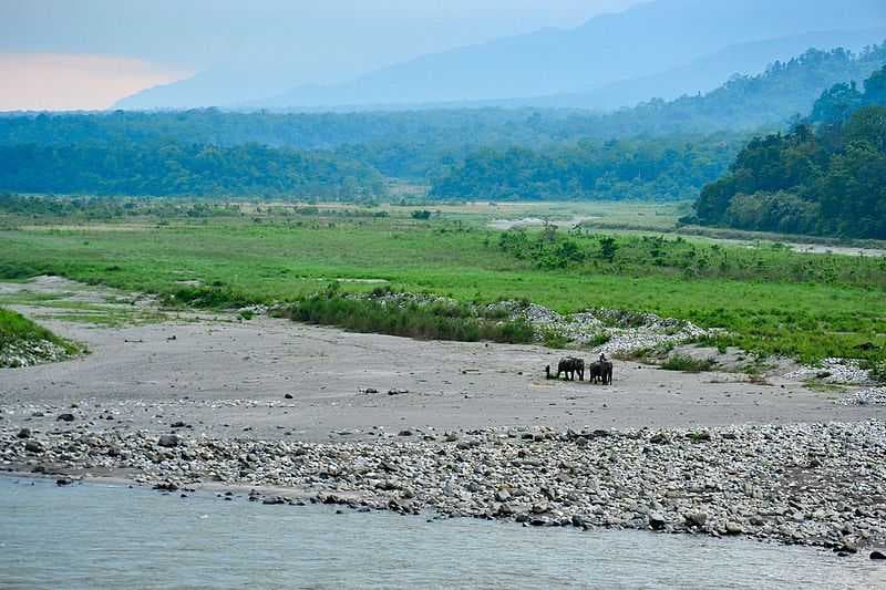 Landscape of Manas National Park