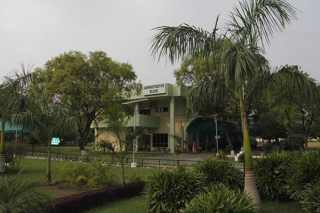 Central University of Punjab, Bathinda