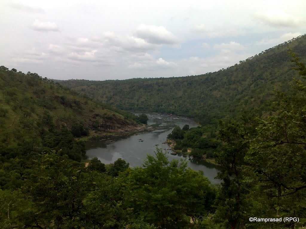 Doddamakkali Nature Camp